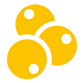 EFSM | GSRM 2028 Logo